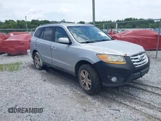2010 Hyundai Santa Fe Limited with VIN 5NMSK4AG1AH339597, listed as a IAAI auction lot 42628572 with Not provided miles and . Bid and sale history available at DreamBid. Image 1.