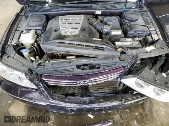 2006 Hyundai Azera SE z VIN KMHFC46F16A119162, wystawiony jako Copart lot #45289545 z przebiegiem 110 324 mil mil oraz Nie do naprawy • Non repairable. Historia ofert i sprzedaży dostępna na DreamBid. Obrazek 11.