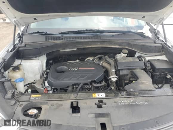 2017 Hyundai Santa Fe 2.0T with VIN 5NMZU4LA6HH044667, listed as a Copart auction lot 67415805 with 93,838 mi miles and Salvage title. Bid and sale history available at DreamBid. Image 11.