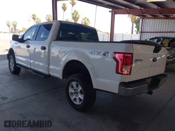 2017 Ford F-150 XL with VIN 1FTFW1EF9HKD99258, listed as a IAAI auction lot 43023438 with Not provided miles and . Bid and sale history available at DreamBid. Image 3.