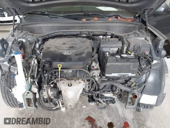 2021 Hyundai Palisade SE с VIN KM8R14HE1MU225999, выставлен на аукционе IAAI как лот 43318003 с пробегом 166 183 миль миль и . История ставок и продаж доступна на DreamBid. Изображение 10.