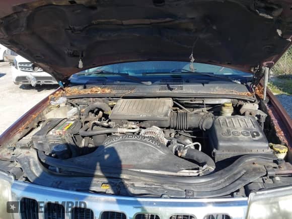 2000 Jeep Grand Cherokee Laredo с VIN 1J4G248NXYC424404, выставлен на аукционе IAAI как лот 43411136 с пробегом 419 020 миль миль и . История ставок и продаж доступна на DreamBid. Изображение 10.