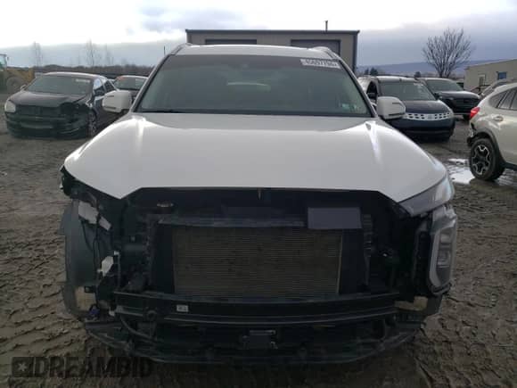 2020 Hyundai Palisade Limited z VIN KM8R5DHE7LU172096, wystawiony jako Copart lot #45697794 z przebiegiem 57 869 mil mil oraz . Historia ofert i sprzedaży dostępna na DreamBid. Obrazek 5.