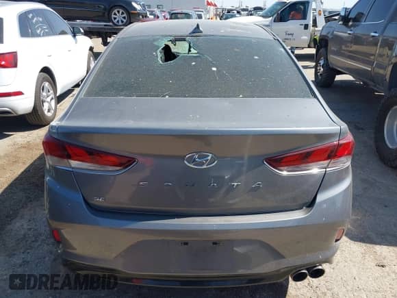 2018 Hyundai Sonata SE with VIN 5NPE24AF7JH643296, listed as a IAAI auction lot 42887042 with 195,120 mi miles and . Bid and sale history available at DreamBid. Image 16.