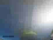 2017 Toyota Camry XSE с VIN 4T1BF1FK3HU657266, выставлен на аукционе IAAI как лот 43399112 с пробегом 176 892 миль миль и . История ставок и продаж доступна на DreamBid. Изображение 10.