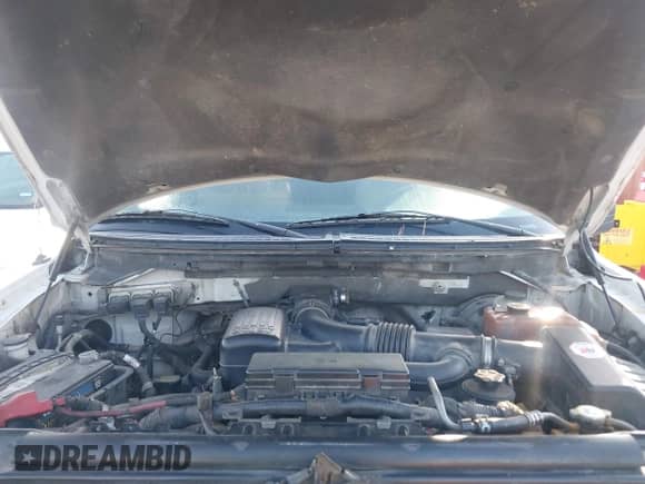 2010 Ford F-150 XL with VIN 1FTNF1CV5AKA89698, listed as a IAAI auction lot 41686970 with 290,555 mi miles and . Bid and sale history available at DreamBid. Image 10.