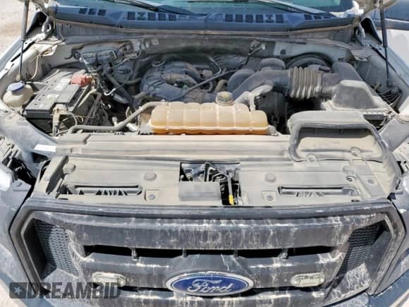 2015 Ford F-150 XL z VIN 1FTEX1C86FKD62291, wystawiony jako Copart lot #68156395 z przebiegiem 153 325 mil mil oraz Szkoda całkowita • Salvage title. Historia ofert i sprzedaży dostępna na DreamBid. Obrazek 11.