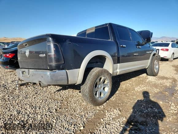 2010 Dodge 1500 Laramie with VIN 1D7RV1CT5AS213137, listed as a Copart auction lot 84411635 with 185,625 mi miles and Salvage title. Bid and sale history available at DreamBid. Image 3.