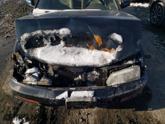 1996 Honda Accord with VIN 1HGCE6644TA028850, listed as a Copart auction lot 42564835 with 116,354 mi miles and Salvage title. Bid and sale history available at DreamBid. Image 11.