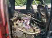 2016 Ford F-250 Lariat z VIN 1FT7W2BT4GEA25741, wystawiony jako Copart lot #67979715 z przebiegiem Nie podano mil oraz Szkoda całkowita • Salvage title. Historia ofert i sprzedaży dostępna na DreamBid. Obrazek 10.