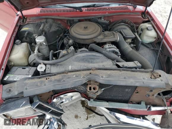 1989 Chevrolet S-10 с VIN 1GCCS14Z6K8189649, выставлен на аукционе Copart как лот 56107475 с пробегом 136 139 миль миль и Списание • Salvage title. История ставок и продаж доступна на DreamBid. Изображение 11.