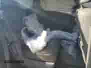 2009 Honda Odyssey Touring с VIN 5FNRL38919B055431, выставлен на аукционе Copart как лот 84251825 с пробегом 275 017 миль миль и Списание • Salvage title. История ставок и продаж доступна на DreamBid. Изображение 11.