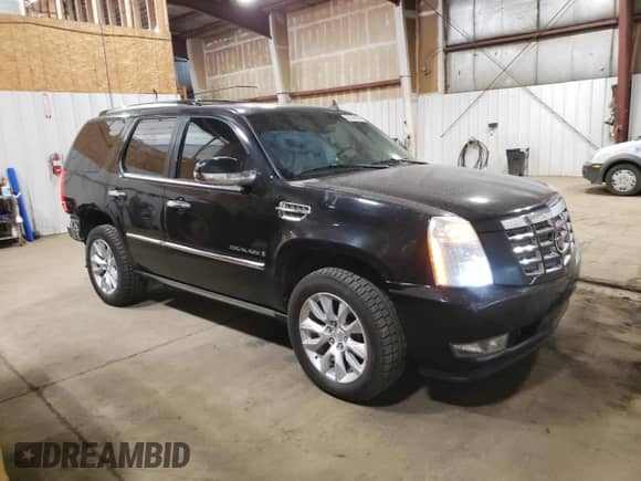 2009 Cadillac Escalade with VIN 1GYFK23249R197075, listed as a Copart auction lot 62199165 with 237,734 mi miles and Salvage title. Bid and sale history available at DreamBid. Image 4.