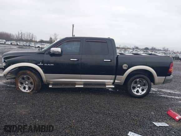 2010 Dodge 1500 SLT z VIN 1D7RV1CT8AS142208, wystawiony jako IAAI lot #41062273 z przebiegiem 233 623 mil mil oraz . Historia ofert i sprzedaży dostępna na DreamBid. Obrazek 15.