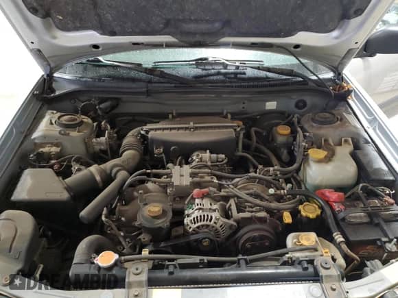 1999 Subaru Forester S with VIN JF1SF6552XG733673, listed as a Copart auction lot 55175035 with 207,847 mi miles and Clean title. Bid and sale history available at DreamBid. Image 12.