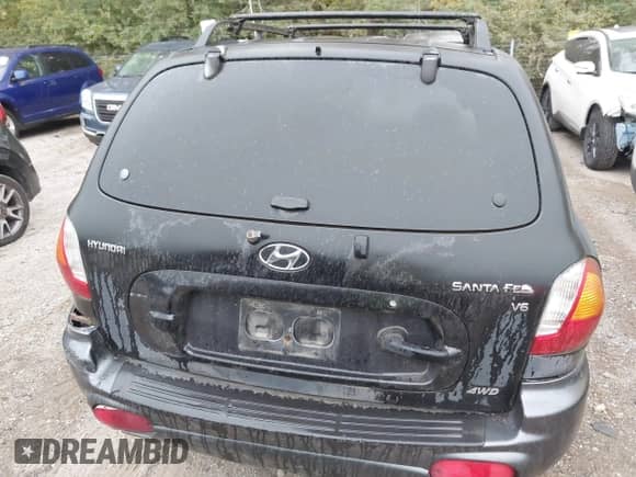 2003 Hyundai Santa Fe GLS with VIN KM8SC73D93U397434, listed as a IAAI auction lot 43545484 with 214,092 mi miles and . Bid and sale history available at DreamBid. Image 13.