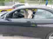 2015 BMW 4 Series 428i xDrive с VIN WBA3T1C55FP820539, выставлен на аукционе IAAI как лот 42073267 с пробегом 64 744 миль миль и . История ставок и продаж доступна на DreamBid. Изображение 14.