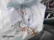 2021 Chevrolet Tahoe LT с VIN 1GNSKNKD0MR372236, выставлен на аукционе IAAI как лот 42347936 с пробегом 53 136 миль миль и . История ставок и продаж доступна на DreamBid. Изображение 6.