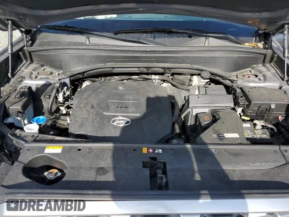2021 Hyundai Palisade SE с VIN KM8R14HE3MU195596, выставлен на аукционе Copart как лот 55557115 с пробегом 58 923 миль миль и Списание • Salvage title. История ставок и продаж доступна на DreamBid. Изображение 12.