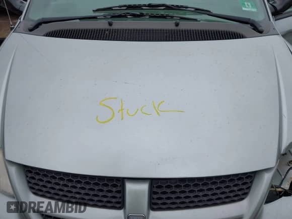 2003 Dodge Grand Caravan with VIN 1D8GP24303B176549, listed as a IAAI auction lot 41716076 with 126,422 mi miles and . Bid and sale history available at DreamBid. Image 10.