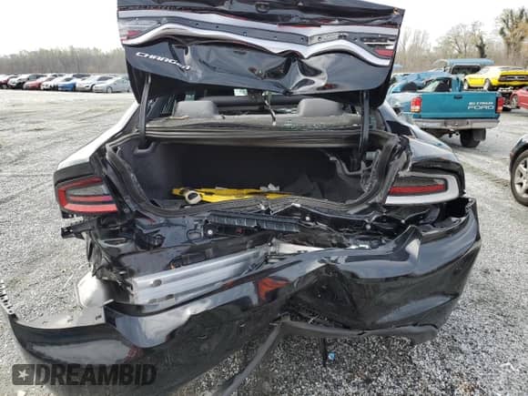 2023 Dodge Charger Police z VIN 2C3CDXAT5PH522975, wystawiony jako Copart lot #50152225 z przebiegiem Nie podano mil oraz Szkoda całkowita • Salvage title. Historia ofert i sprzedaży dostępna na DreamBid. Obrazek 6.