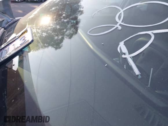 2025 Hyundai Santa Fe SEL with VIN 5NMP24G1XSH017731, listed as a IAAI auction lot 41655301 with Not provided miles and . Bid and sale history available at DreamBid. Image 22.