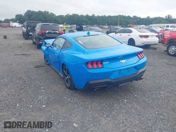 2024 Ford Mustang EcoBoost с VIN 1FA6P8TH8R5143368, выставлен на аукционе IAAI как лот 43025741 с пробегом 9 326 миль миль и . История ставок и продаж доступна на DreamBid. Изображение 3.