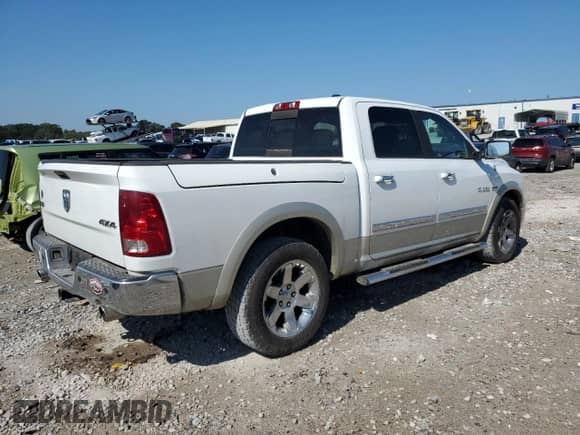 2010 Dodge 1500 TRX with VIN 1D7RV1CT2AS236262, listed as a Copart auction lot 80490635 with 161,843 mi miles and Salvage title. Bid and sale history available at DreamBid. Image 3.