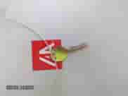 1998 Dodge 2500 z VIN 1B7KF2366WJ229255, wystawiony jako IAAI lot #43104314 z przebiegiem 117 785 mil mil oraz . Historia ofert i sprzedaży dostępna na DreamBid. Obrazek 11.