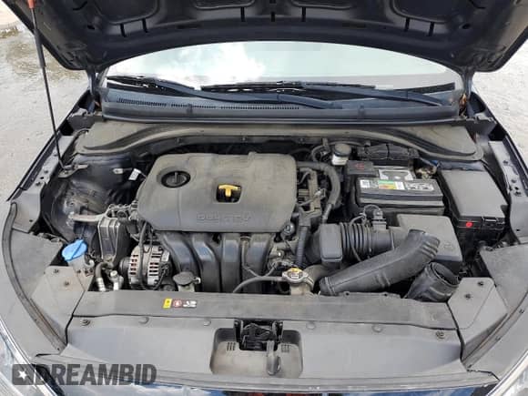 2020 Hyundai Elantra SE с VIN 5NPD74LF6LH618080, выставлен на аукционе Copart как лот 68879195 с пробегом 86 500 миль миль и Списание • Salvage title. История ставок и продаж доступна на DreamBid. Изображение 11.