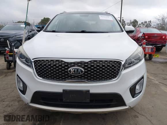 2017 Kia Sorento SXL с VIN 5XYPK4A55HG319359, выставлен на аукционе IAAI как лот 41524367 с пробегом 105 913 миль миль и . История ставок и продаж доступна на DreamBid. Изображение 11.