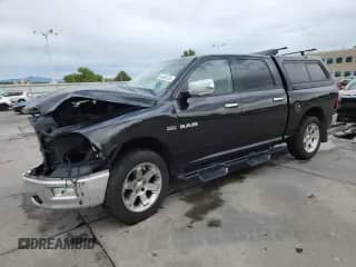 2009 Dodge 1500 SLT with VIN 1D3HV13T59S723593, listed as a Copart auction lot 80668735 with 207,773 mi miles and Salvage title. Bid and sale history available at DreamBid. Image 1.
