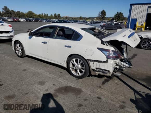 2013 Nissan Maxima SV with VIN 1N4AA5AP8DC840242, listed as a Copart auction lot 67394865 with 175,961 mi miles and Salvage title. Bid and sale history available at DreamBid. Image 2.