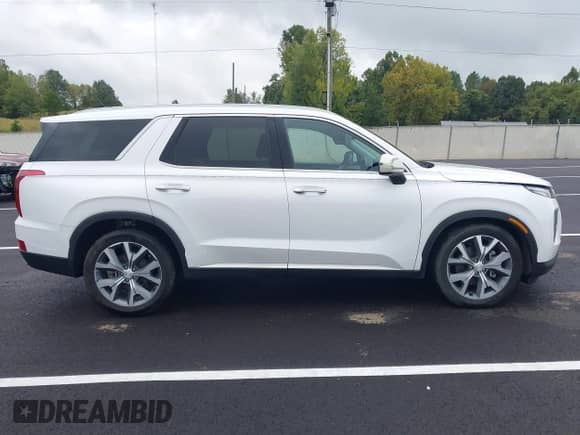 2020 Hyundai Palisade SEL с VIN KM8R34HE4LU079493, выставлен на аукционе IAAI как лот 43299366 с пробегом 48 485 миль миль и . История ставок и продаж доступна на DreamBid. Изображение 14.