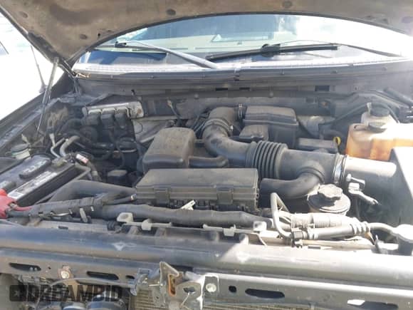 2010 Ford F-150 XL с VIN 1FTFW1EV1AFC96292, выставлен на аукционе IAAI как лот 43068801 с пробегом 214 640 миль миль и . История ставок и продаж доступна на DreamBid. Изображение 10.