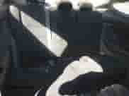 2008 Honda Accord EX with VIN 1HGCS12748A015194, listed as a IAAI auction lot 43404280 with 239,249 mi miles and . Bid and sale history available at DreamBid. Image 8.