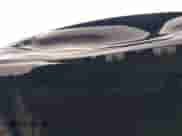 2013 Hyundai Genesis 3.8L с VIN KMHGC4DD3DU237280, выставлен на аукционе IAAI как лот 42762258 с пробегом 79 392 миль миль и . История ставок и продаж доступна на DreamBid. Изображение 12.