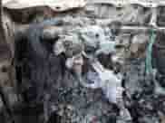 1999 Ford F-150 z VIN 1FTZF0825XKB25411, wystawiony jako Copart lot #69858225 z przebiegiem Nie podano mil oraz Szkoda całkowita • Salvage title. Historia ofert i sprzedaży dostępna na DreamBid. Obrazek 9.