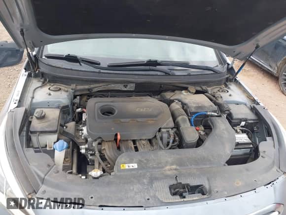 2017 Hyundai Sonata 2.4L with VIN 5NPE24AF2HH521813, listed as a IAAI auction lot 42815305 with 220,035 mi miles and . Bid and sale history available at DreamBid. Image 10.