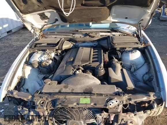 1999 BMW 5 Series 528i with VIN WBADM6336XBY31254, listed as a IAAI auction lot 41408089 with 221,176 mi miles and . Bid and sale history available at DreamBid. Image 10.