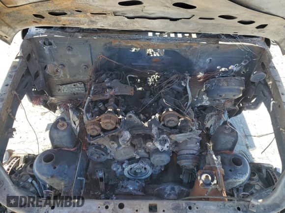 2013 Jeep Wrangler Rubicon with VIN 1C4BJWCG7DL592535, listed as a Copart auction lot 74841564 with Not provided miles and Salvage title. Bid and sale history available at DreamBid. Image 12.