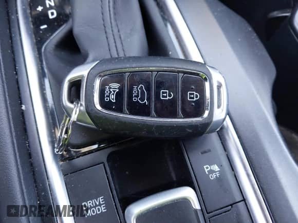 2020 Hyundai Santa Fe Limited with VIN 5NMS53AA1LH167863, listed as a IAAI auction lot 42054924 with 52,880 mi miles and . Bid and sale history available at DreamBid. Image 11.