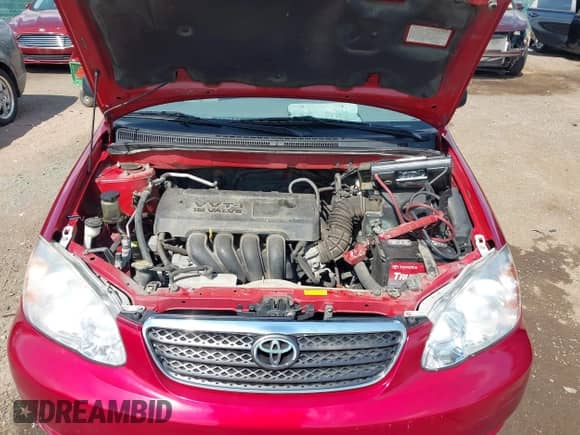 2008 Toyota Corolla CE with VIN 2T1BR32EX8C894325, listed as a IAAI auction lot 42929939 with 113,335 mi miles and . Bid and sale history available at DreamBid. Image 10.