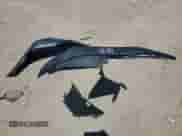 2024 Hyundai Elantra с VIN KMLHM4DJ7RU111237, выставлен на аукционе Copart как лот 67406614 с пробегом 28 миль миль и Списание • Salvage title. История ставок и продаж доступна на DreamBid. Изображение 12.