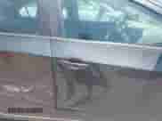 2018 Chevrolet Sonic LS с VIN 1G1JB5SH1J4133402, выставлен на аукционе IAAI как лот 42711403 с пробегом 97 768 миль миль и . История ставок и продаж доступна на DreamBid. Изображение 5.