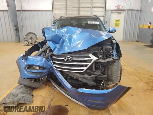 2018 Hyundai Tucson Value with VIN KM8J3CA22JU616401, listed as a Copart auction lot 69561425 with 100,939 mi miles and Salvage title. Bid and sale history available at DreamBid. Image 5.