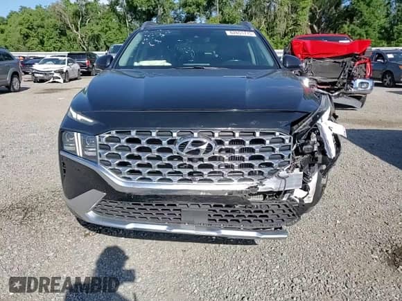 2022 Hyundai Santa Fe Limited с VIN 5NMS44ALXNH387290, выставлен на аукционе Copart как лот 62651775 с пробегом 46 742 миль миль и Списание • Salvage title. История ставок и продаж доступна на DreamBid. Изображение 11.