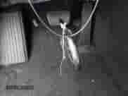 2024 Hyundai Santa Fe Limited с VIN 5NMP4DGL5RH008490, выставлен на аукционе IAAI как лот 41290425 с пробегом 11 688 миль миль и . История ставок и продаж доступна на DreamBid. Изображение 11.