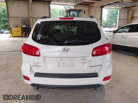 2008 Hyundai Santa Fe GLS with VIN 5NMSG13D38H142685, listed as a IAAI auction lot 42884224 with 212,500 mi miles and . Bid and sale history available at DreamBid. Image 16.