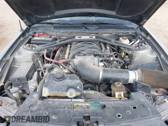 2005 Ford Mustang GT Deluxe с VIN 1ZVFT82H155236134, выставлен на аукционе IAAI как лот 42336089 с пробегом 112 668 миль миль и . История ставок и продаж доступна на DreamBid. Изображение 10.